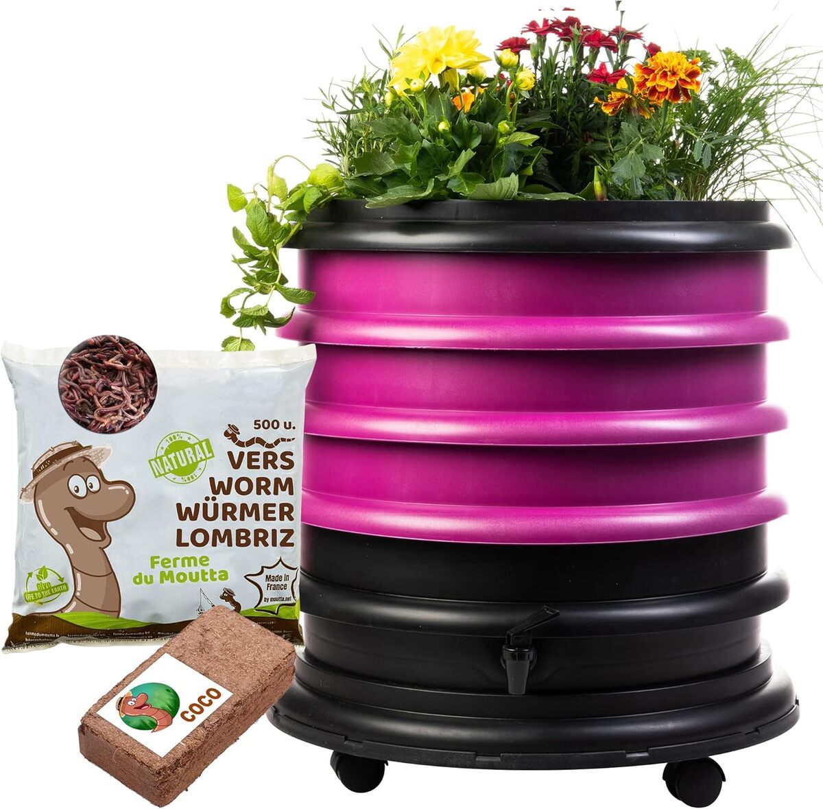 Test du lombricomposteur WORMbox : compostez avec style