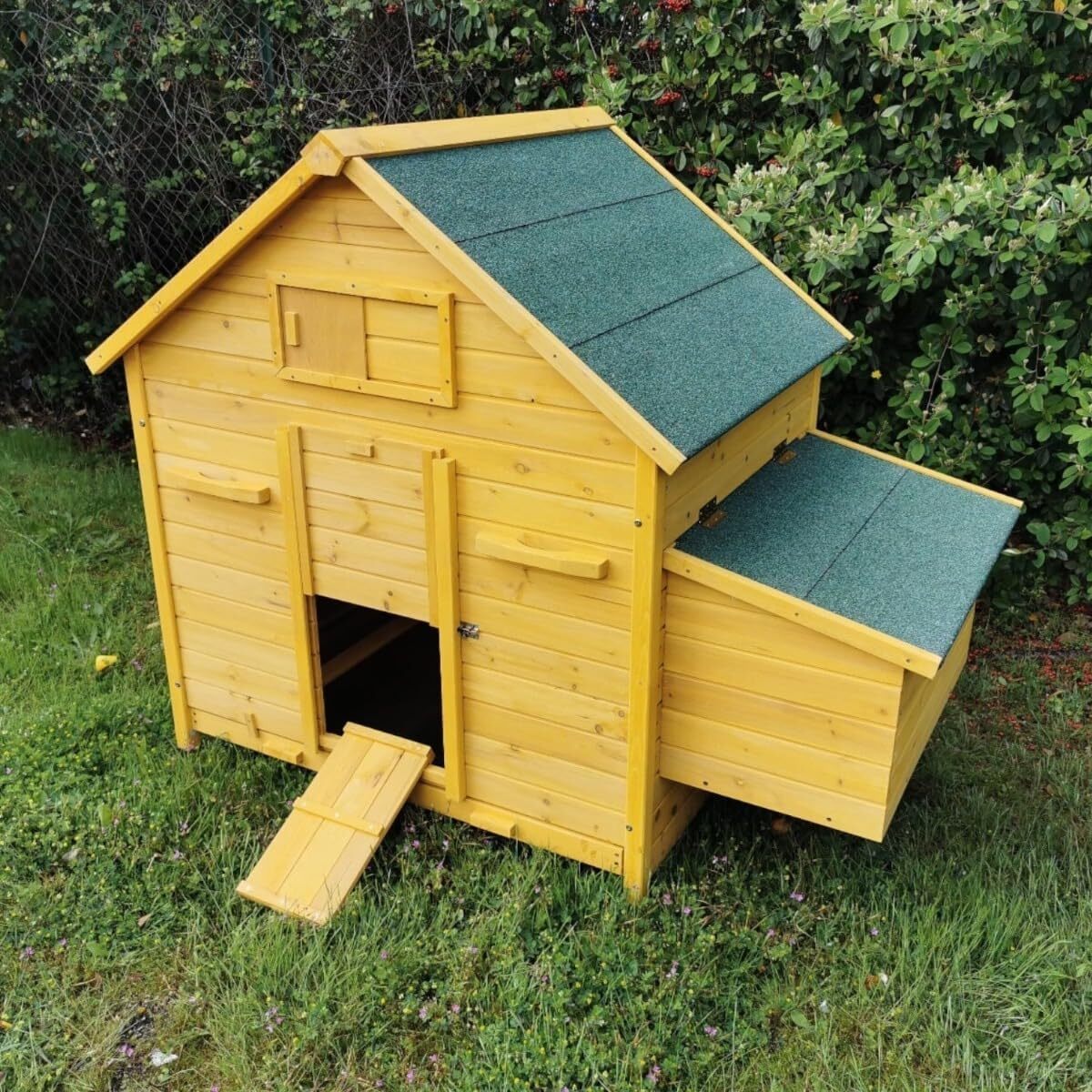 Test du poulailler Animal Valley Bassette XL : toit shingle vert pour 6 à 8 poules