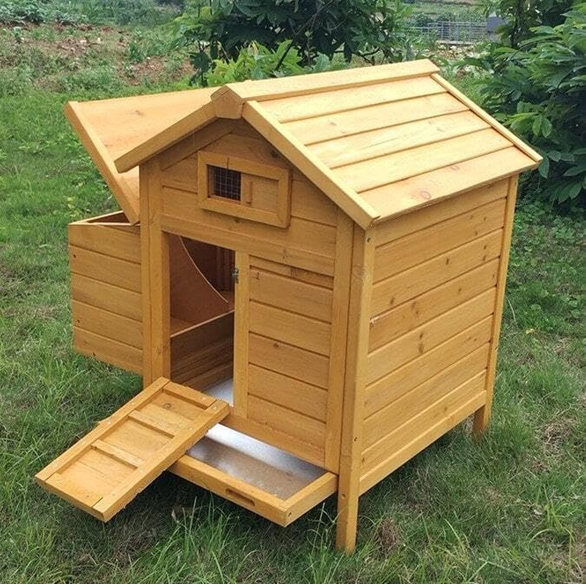 Test du poulailler Animal Valley Cémani S : cohabitation idéale pour vos 2 poules