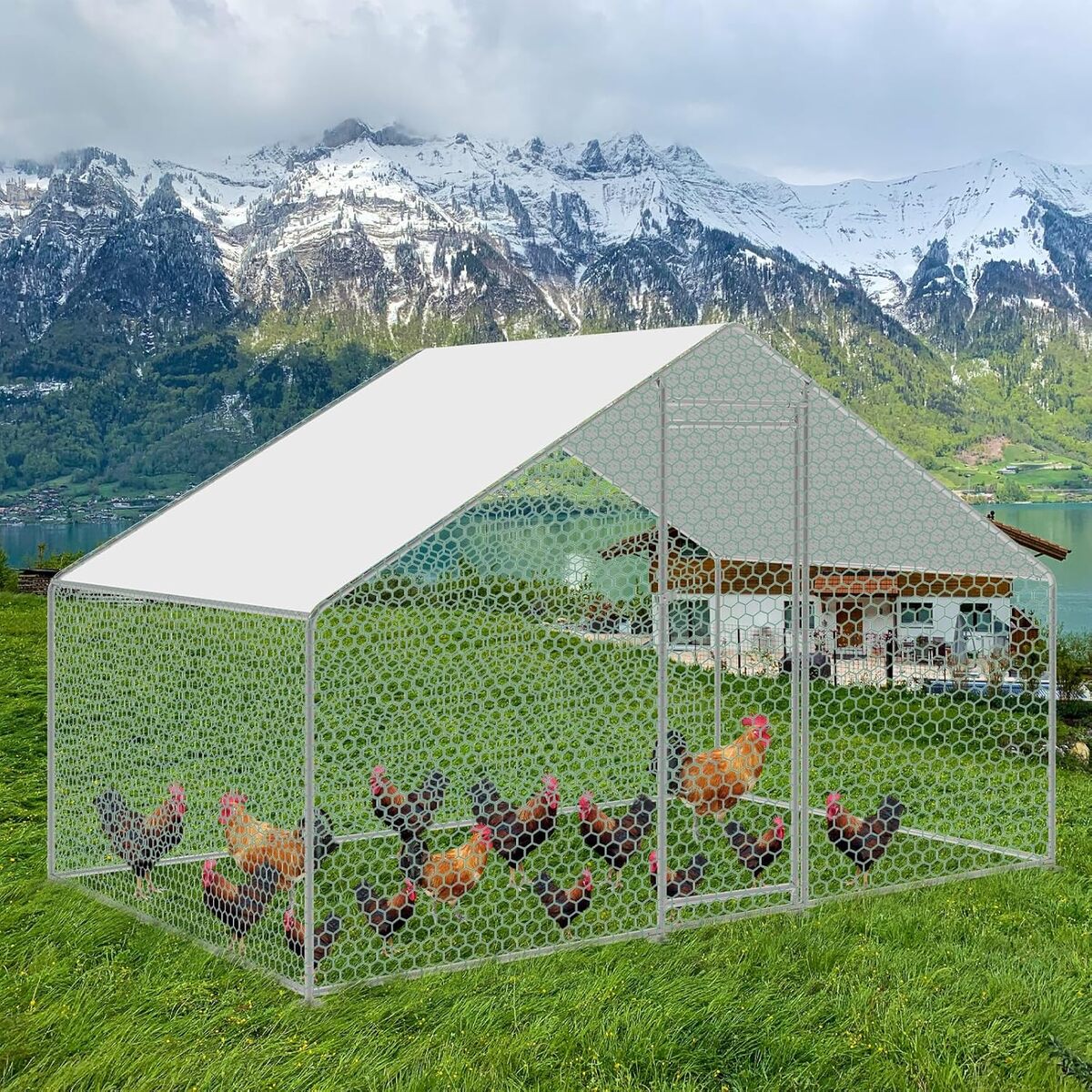Test du poulailler Cecaylie en métal 24 m²