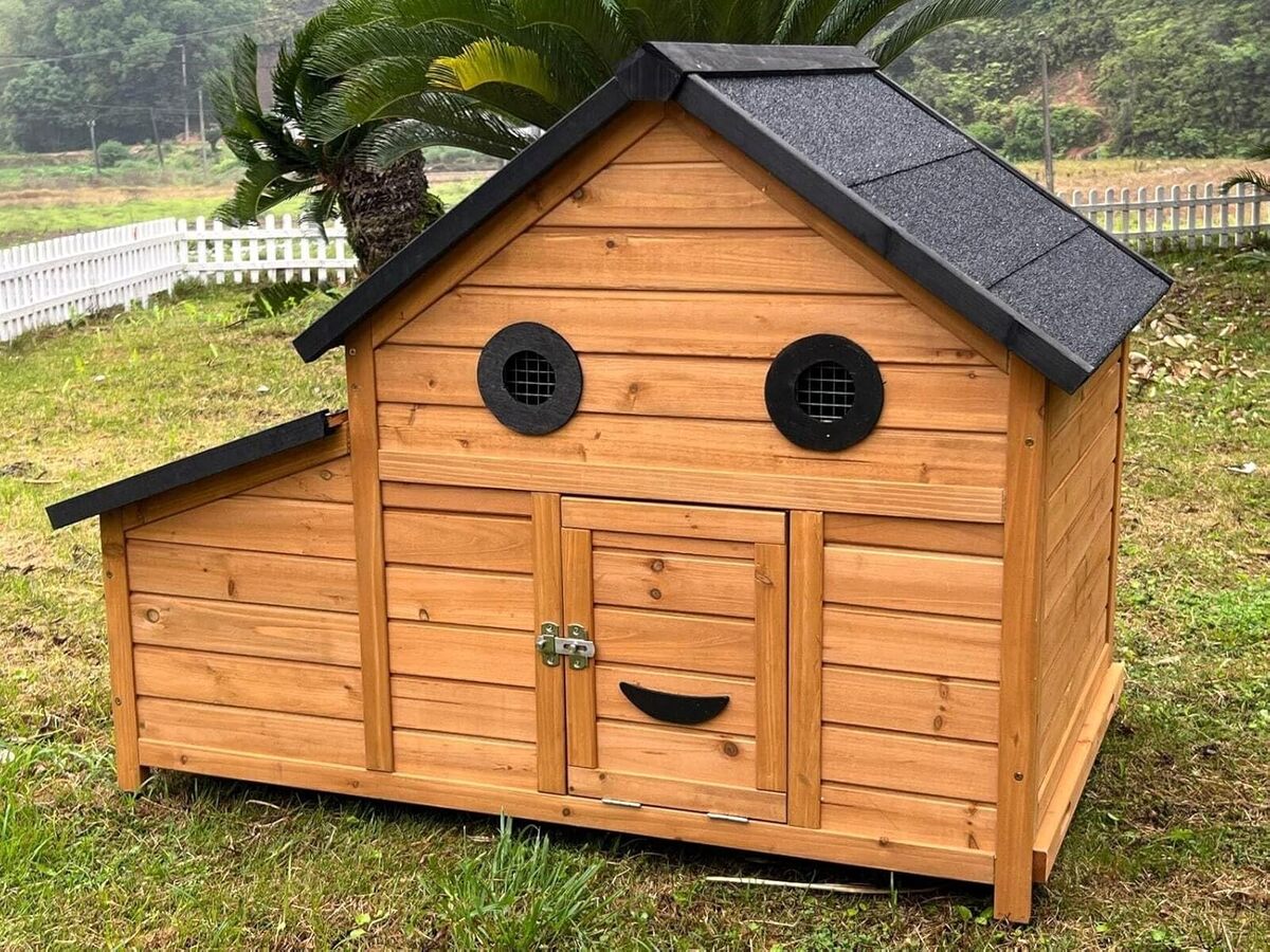 Test : poulailler Animal Valley Burma, l'abri parfait pour vos poules