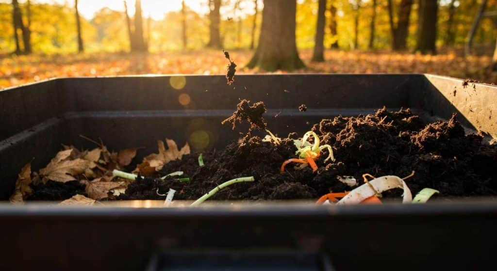 Guide du nettoyage d'automne du composteur