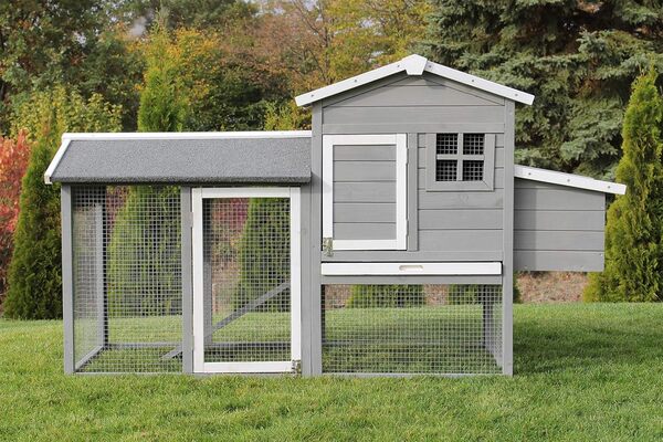 Miweba MyAnimal Poulailler MH-21 XXL avec pondoir | pour 3 Poules - Nichoir avec enclos en liberté - Perchoir - Résistant à l'hiver - 2 Niveaux - Maison pour Poules - Bois de pin - Volière