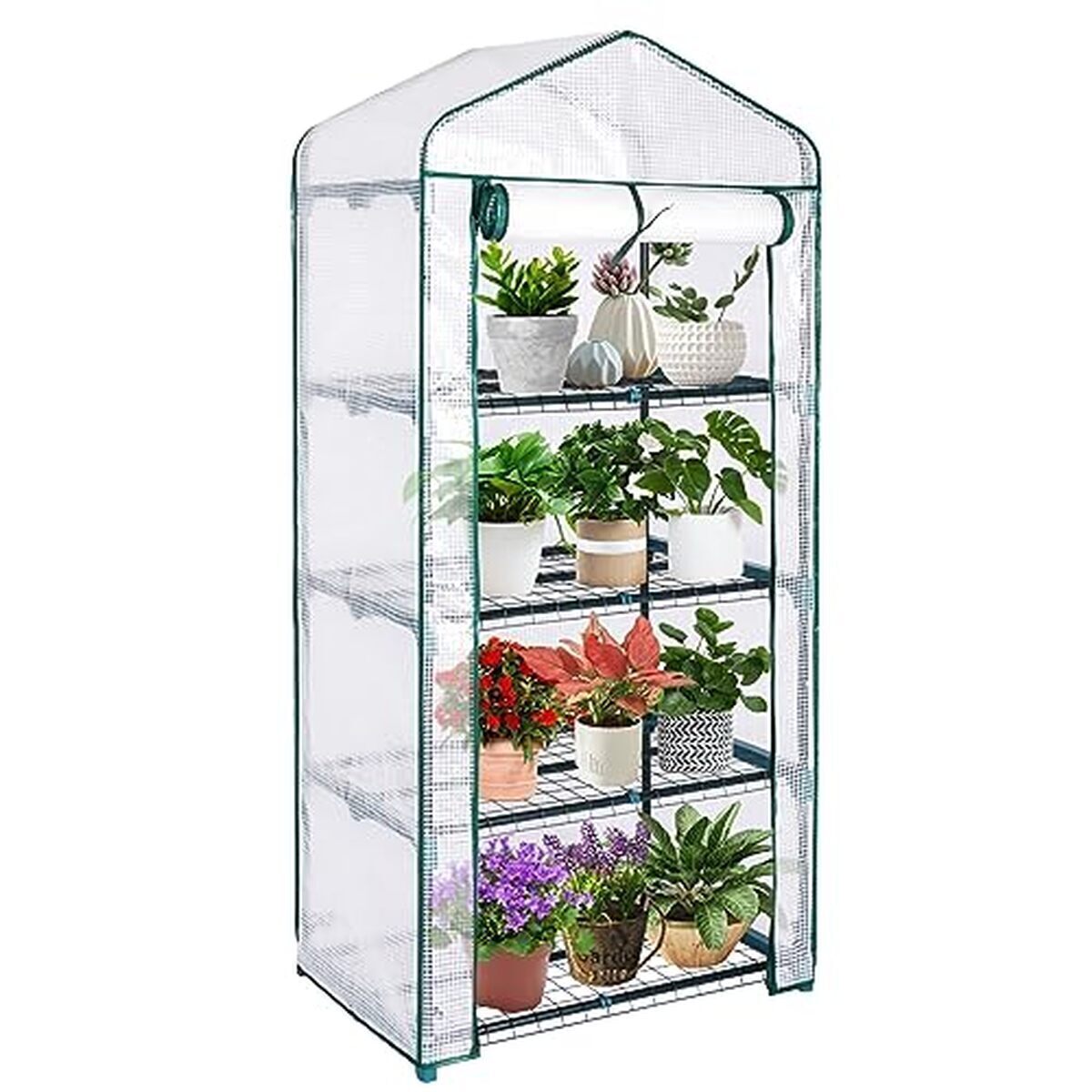 Test de la serre portable Zyraflux à 4 niveaux : robustesse et praticité