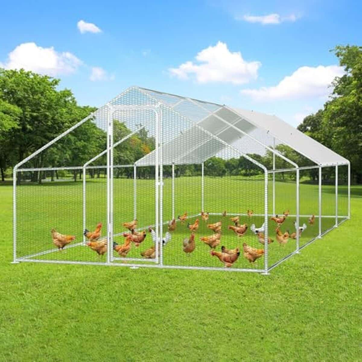 Test de l'enclos Jopassy 3 x 8 m : sécurité et espace pour vos animaux