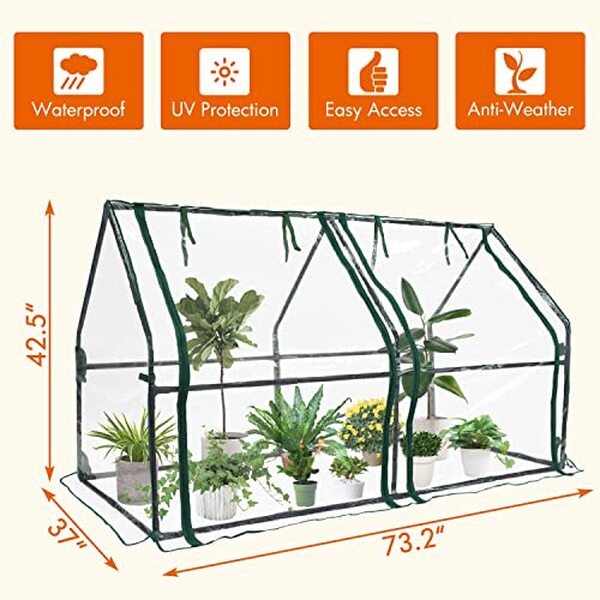 Découvrez notre test complet de la mini serre Gardzen : un choix idéal pour protéger vos plantes grâce à sa portabilité et sa résistance exceptionnelle. Parfait pour les jardiniers débutants et expérimentés.