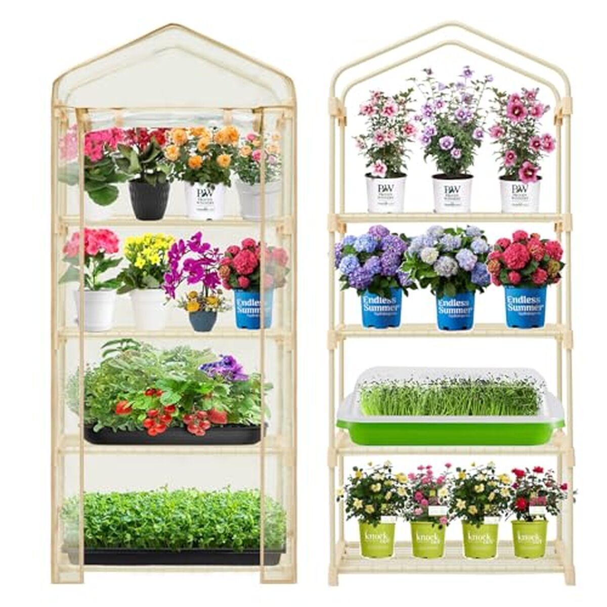 Test de la serre Purlyu 4 niveaux pour jardinage