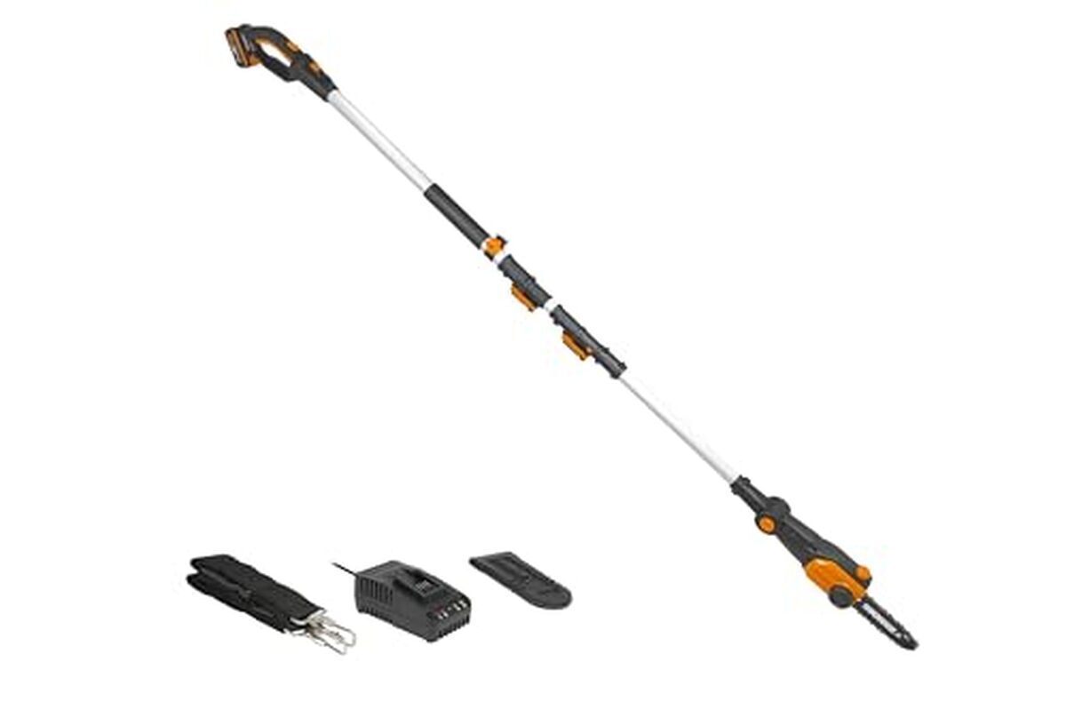 Test de l'élagueuse sans fil Worx WG349E 20V : puissance et portée impressionnantes