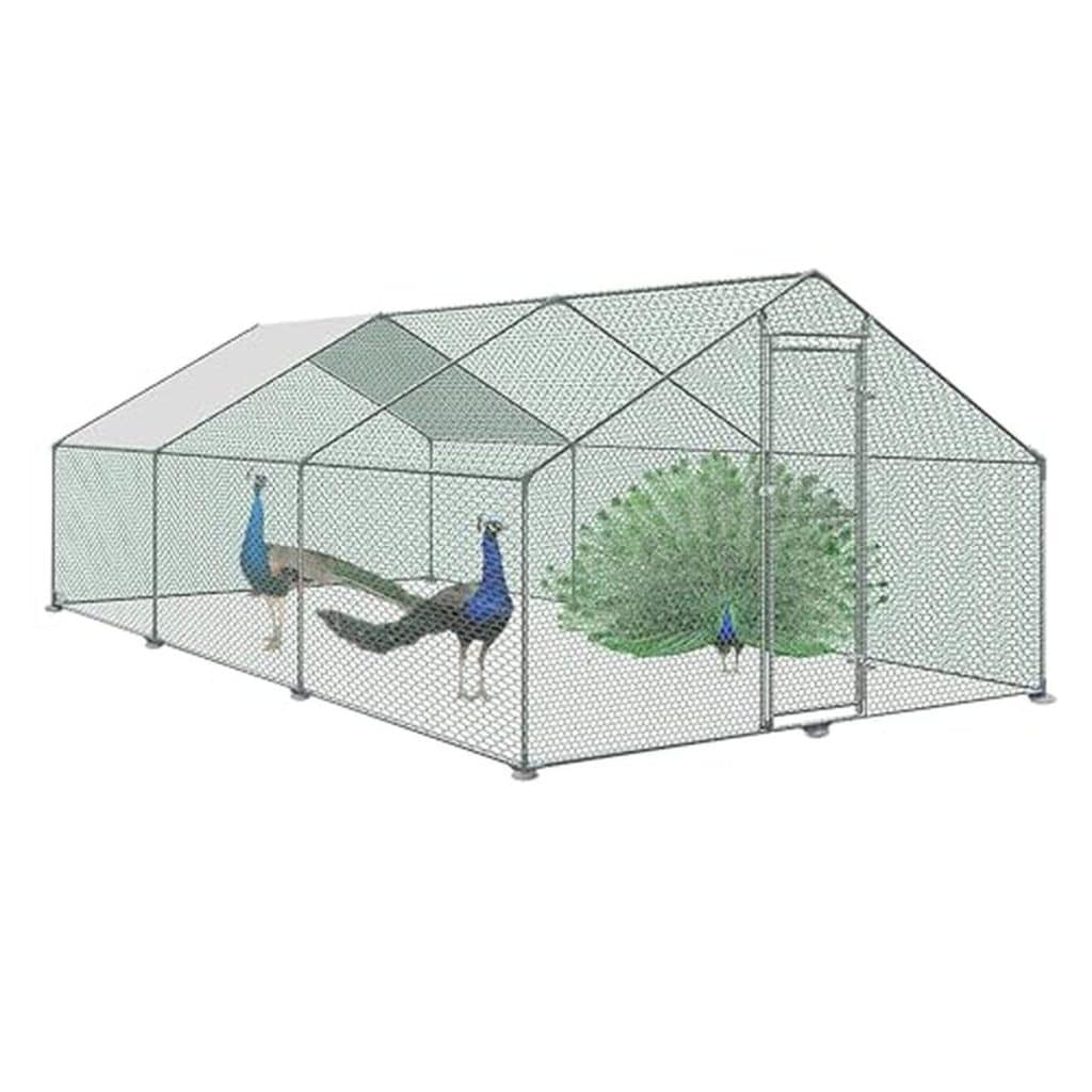 Test du poulailler Liliin 3 x 6 m : robustesse et sécurité