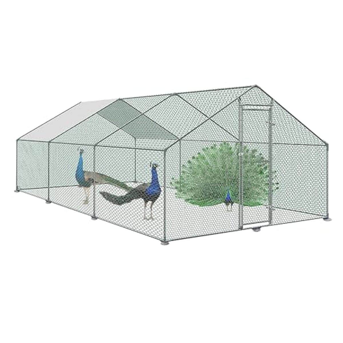 Test du poulailler Liliin 3 x 6 m : robustesse et sécurité